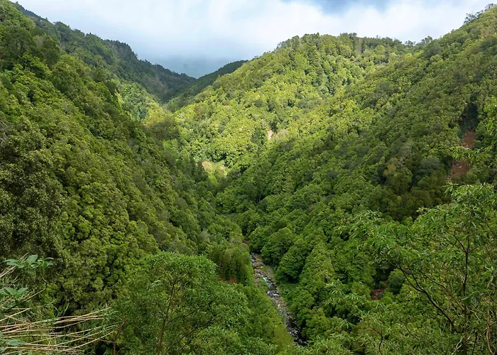 Entre A Pedra E O Mar Faial da Terra