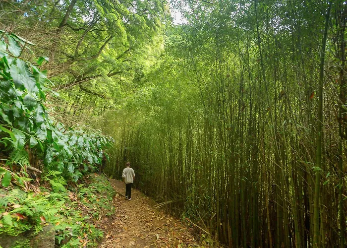 Entre A Pedra E O Mar Tatil Evi *